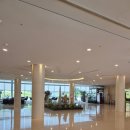 한라목욕탕 | 제주 서귀포 WE HOTEL 위호텔 팔러스위트 /수영장/웰니스 프로그램 이용후기