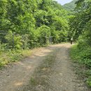 진부령미술관 이미지