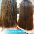 비달싹뚝 - 연제구 과정로191번가길 45 | 비달싹뚝