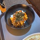 한스 강아지방 이미지