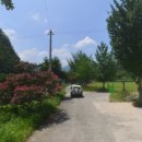 봉황대운동장 이미지