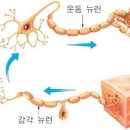 더뉴런 이미지