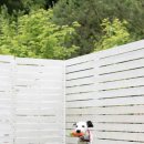 놀러오개 애견유치원 애견호텔 의정부점 이미지