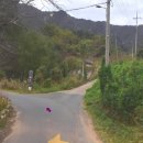 신전면사무소 이미지