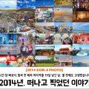 2014년 신입 1년차가 떠난 구석구석 여행사진