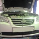 호랭이카 이미지