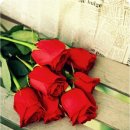 송이송이 이미지