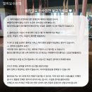 건강요가 | 다양한 연령대 추천, 수원 플라잉요가 선우용녀 건강꿀팁 요가 필라테스 후기