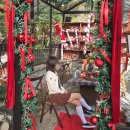 만디 | 크리스마스 연말 분위기 물씬 숲뷰 부산 괴정 카페 만디 솔직후기