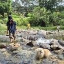 양평너른마당 뜨란채 이미지