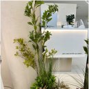 뮤즈헤어 이미지