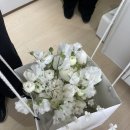 수현과일 | [3.웨딩촬영: ONA스튜디오 A타입 수현실장님 후기]