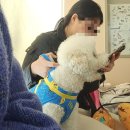 분당밝은아이동물병원 이미지