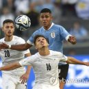 일라이메드 이미지