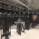 브리티시 클럽 이미지