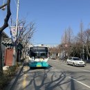 시내지 이미지