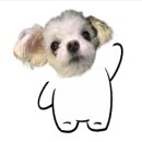 보령주교관창한우타운 이미지