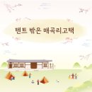 매곡리 | [행사후기] 텐트 밖은 매곡리 고택 후기