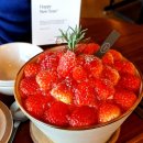 [2월 월간일기 上] 책과 일상과 해먹기