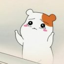 안*한 이미지