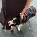 UR(남원시)-[금지순환길]-하-3 | 2023.07월