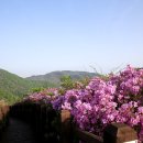 고향꽃화원 이미지