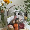 싱싱프루츠 이미지