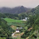 울릉도와 독도이야기펜션 이미지