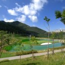 오투골프 이미지