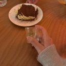 감귤게스트하우스 | 제주 서귀포 게스트하우스 기대이하 파티 후기