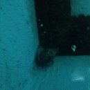 안양바다낚시터 이미지