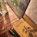 도토리캐빈 이미지