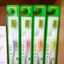 이중미세모 알로에 항균 위드칫솔 무료배송 (17통 한정) 이미지