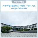 MG새마을금고 건너편 | 제주 애월 가성비 숙소 새마을금고제주연수원 (리조트동 스위트룸 22평)