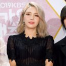 솔라 이미지