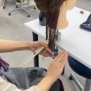 커트실무헤어전문학원 이미지