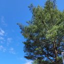 소야리 버스정류장 이미지