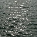 지에스(GS)25 뉴송도아트포레점 이미지