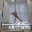 오브폴스튜디오 | 폴댄스 버오파 꿈의기술 버드오브파라다이스 후기