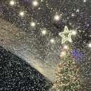 푸바오애견 2호점 | 부산 크리스마스 빌리지 2025 센텀 산타마을 마켓 평일 저녁 방문 후기