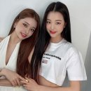 프리지아 이미지
