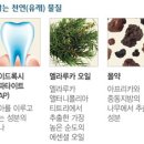 멜라루카인터내셔날코리아㈜ 이미지