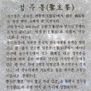 신성 행정사 네이버블로그