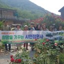 장미커피숍 이미지