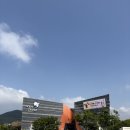 곰아쿠아 | 여수 가볼만한 곳 아쿠아플라넷 솔직 후기, 주차, 할인, 기념품샵, 헬가 스텐첼 전시