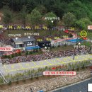 마운틴관광농원 이미지