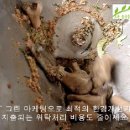 업소용 음식물처리기-식당에서 발생되는 모든 음식물쓰레기 처리 이미지