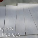 원샷 스포츠경향