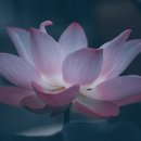 더존스크린골프연습장 이미지