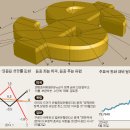 하늘이 준 선물 이미지